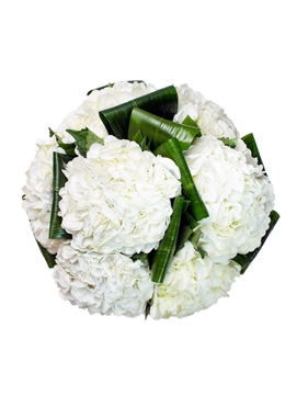 Picture of Blanc
