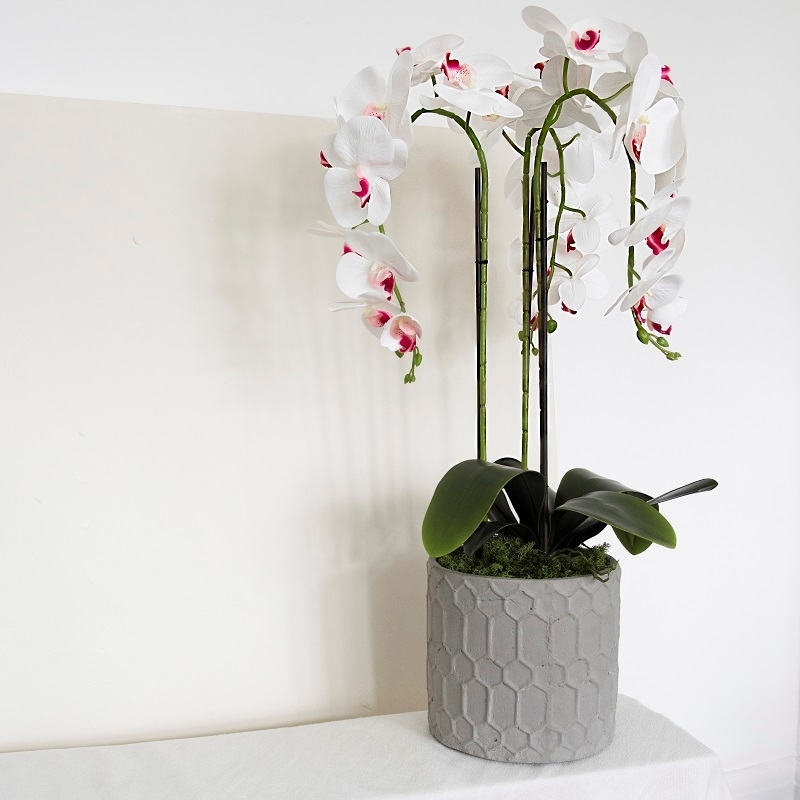 Burgeon Floral Design. White Silk Orchid