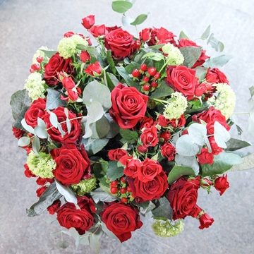 24 Deluxe Naomi Red Roses with Green Shamrocks 
